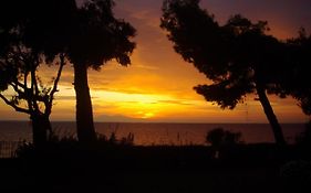 Seafront Studio - Akti Elia